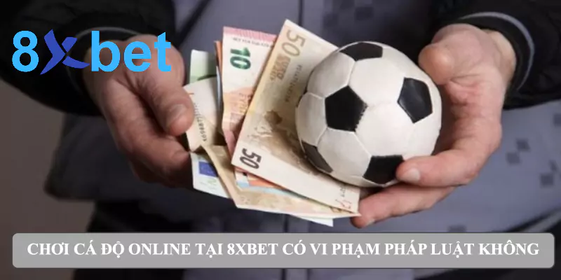 Miễn trừ trách nhiệm Chơi cá độ online tại 8xbet có vi phạm pháp luật không