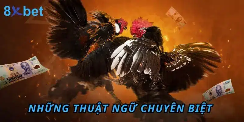 Những thuật ngữ chuyên biệt